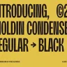 Moldin - Condensed Sans Serif Font