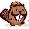 ADICIONAL DO PLUGIN BEAVER THEMER do WordPress